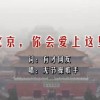 摇头摆尾十二生肖动物